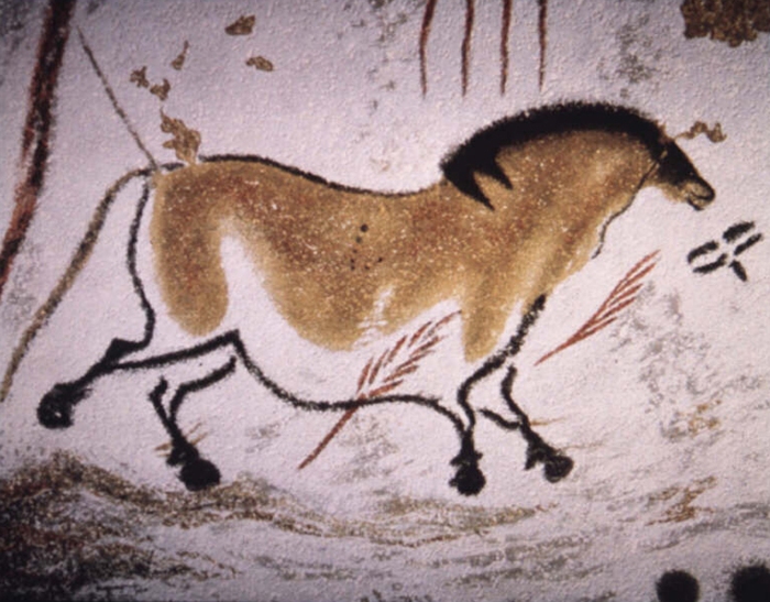 A horse from Lascaux with unnaturally rotated feet so you can see what kind of tracks it would leave behind